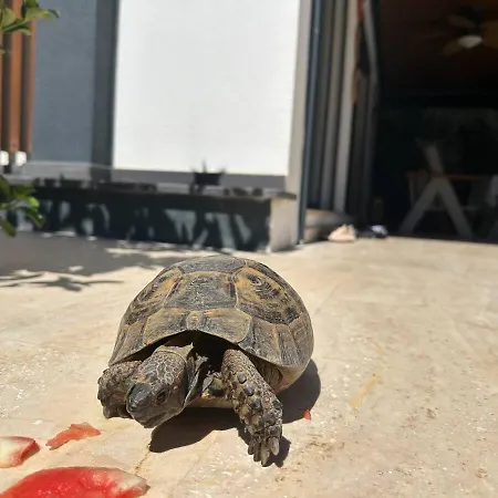 Sea View In Upscale Yalikavak * Bodrum