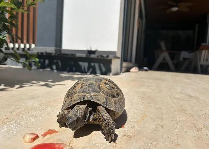 Sea View In Upscale Yalikavak * Bodrum